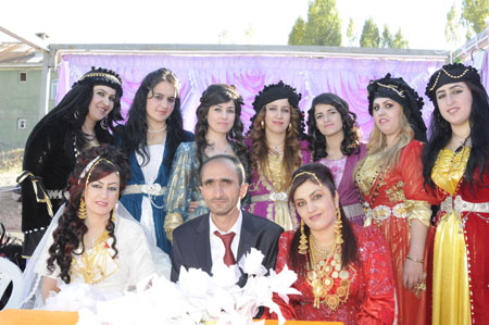 Yüksekova Düğünleri - Foto Galeri - 22 Ekim 2011 18