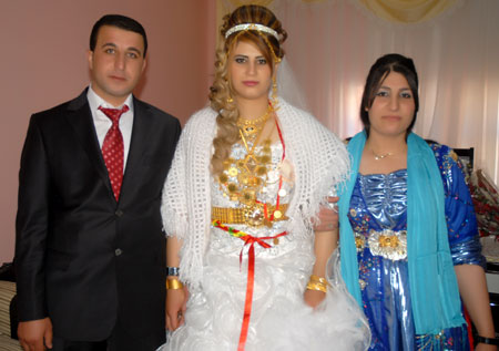 Yüksekova Düğünleri - Foto Galeri - 22 Ekim 2011 25