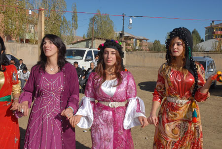 Yüksekova Düğünleri - Foto Galeri - 22 Ekim 2011 28