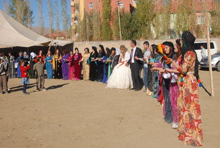 Yüksekova Düğünleri - Foto Galeri - 22 Ekim 2011 37