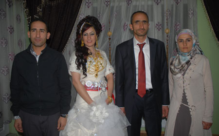 Yüksekova Düğünleri - Foto Galeri - 22 Ekim 2011 47