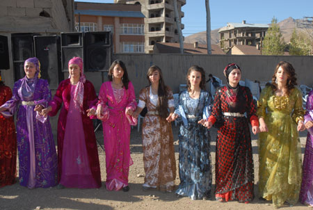 Yüksekova Düğünleri - Foto Galeri - 22 Ekim 2011 56