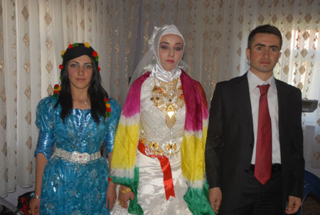 Yüksekova Düğünleri - Foto Galeri - 22 Ekim 2011 61