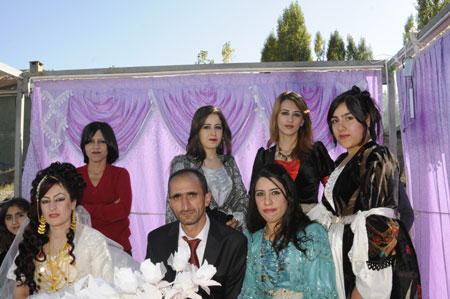 Yüksekova Düğünleri - Foto Galeri - 22 Ekim 2011 72