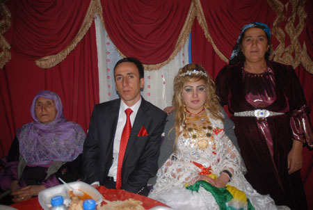 Yüksekova Düğünleri - Foto Galeri - 22 Ekim 2011 98