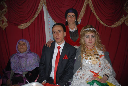 Yüksekova Düğünleri - Foto Galeri - 22 Ekim 2011 99