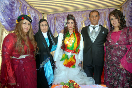 Yüksekova Düğünleri 12-13 Kasım 2011 10