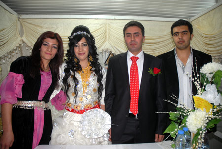 Yüksekova Düğünleri 12-13 Kasım 2011 55