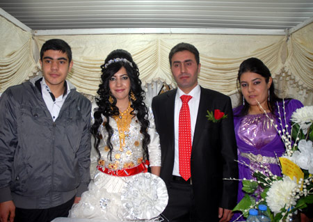 Yüksekova Düğünleri 12-13 Kasım 2011 56