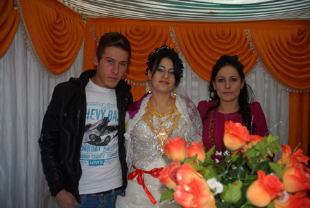 Yüksekova Düğünleri 19-20 Kasım 2011 104