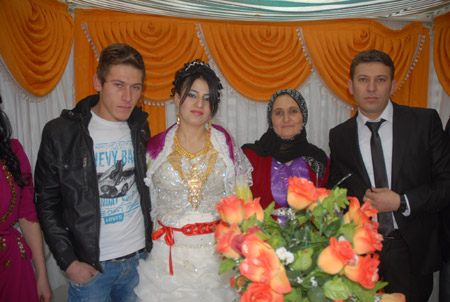 Yüksekova Düğünleri 19-20 Kasım 2011 24
