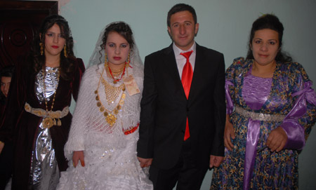 Yüksekova Düğünleri 19-20 Kasım 2011 40