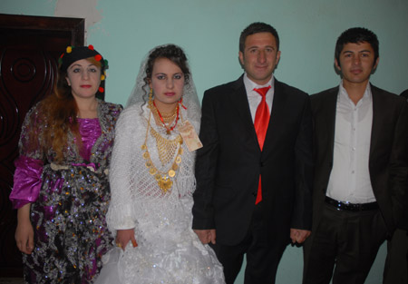Yüksekova Düğünleri 19-20 Kasım 2011 44