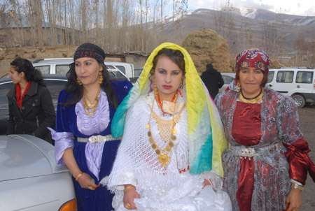 Yüksekova Düğünleri 19-20 Kasım 2011 54
