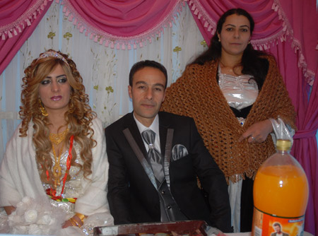 Yüksekova Düğünleri 19-20 Kasım 2011 56