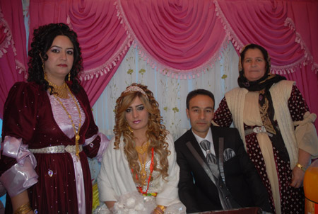 Yüksekova Düğünleri 19-20 Kasım 2011 57