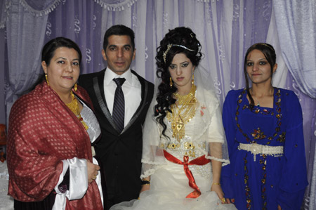 Yüksekova Düğünleri 19-20 Kasım 2011 78