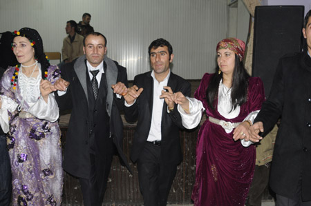 Yüksekova Düğünleri 19-20 Kasım 2011 89