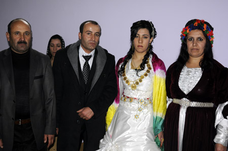 Yüksekova Düğünleri 19-20 Kasım 2011 90