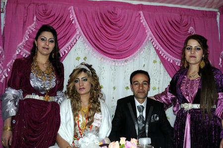 Yüksekova Düğünleri 19-20 Kasım 2011 93