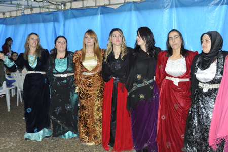 Yüksekova Düğünleri 19-20 Kasım 2011 95