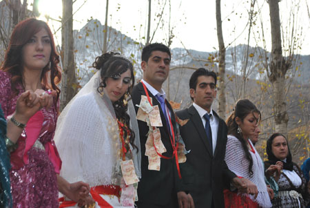 19-20 Kasım 2011 - Şemdinli Düğünleri Fotoğraf Galerisi 13