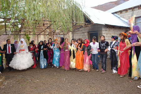 19-20 Kasım 2011 - Şemdinli Düğünleri Fotoğraf Galerisi 64