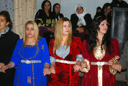 Yüksekova Düğünleri 26-27Kasım 2011 47