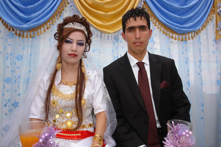2011'de Yüksekova'da evlenenler 113
