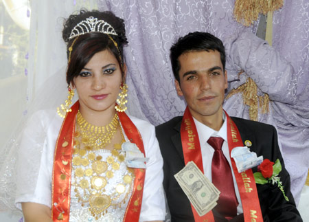 2011'de Yüksekova'da evlenenler 116