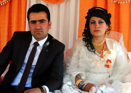 2011'de Yüksekova'da evlenenler 118