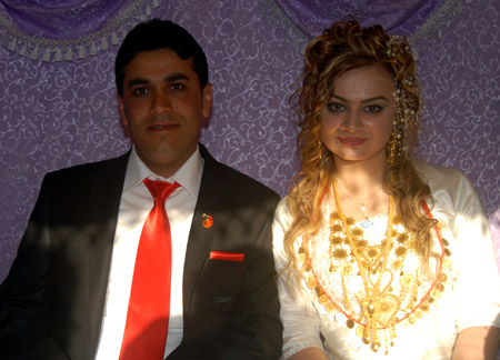 2011'de Yüksekova'da evlenenler 149