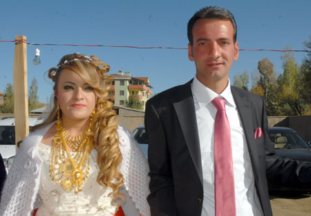 2011'de Yüksekova'da evlenenler 166