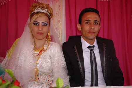 2011'de Yüksekova'da evlenenler 182