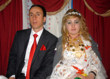 2011'de Yüksekova'da evlenenler 183