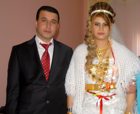 2011'de Yüksekova'da evlenenler 186