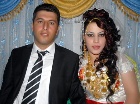 2011'de Yüksekova'da evlenenler 199