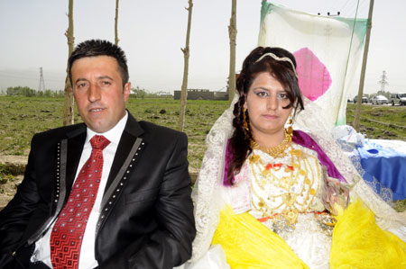 2011'de Yüksekova'da evlenenler 229