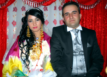 2011'de Yüksekova'da evlenenler 232