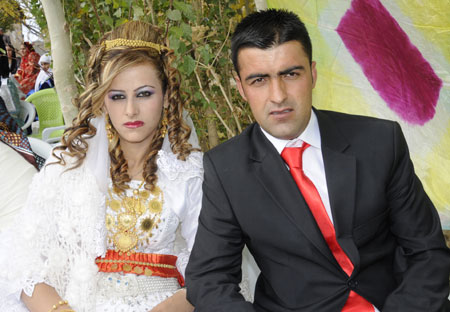 2011'de Yüksekova'da evlenenler 236
