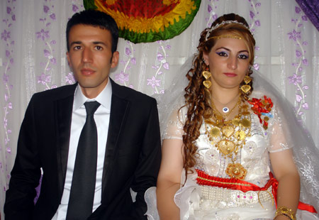 2011'de Yüksekova'da evlenenler 249