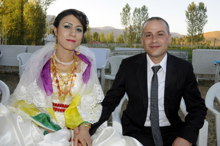 2011'de Yüksekova'da evlenenler 263
