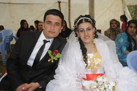 2011'de Yüksekova'da evlenenler 266