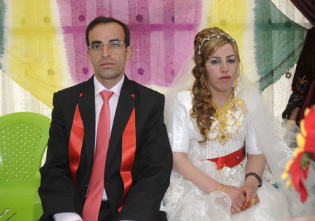 2011'de Yüksekova'da evlenenler 269
