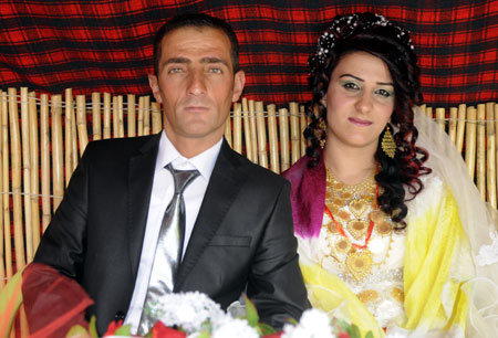 2011'de Yüksekova'da evlenenler 274