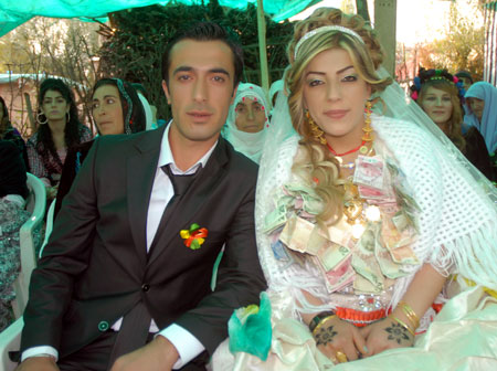 2011'de Yüksekova'da evlenenler 276