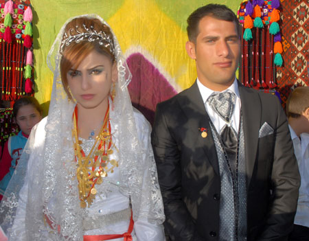 2011'de Yüksekova'da evlenenler 279