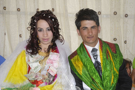 2011'de Yüksekova'da evlenenler 283