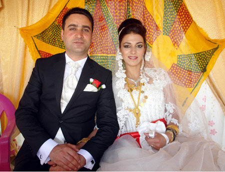 2011'de Yüksekova'da evlenenler 289