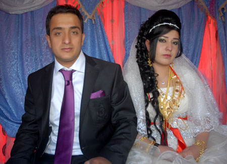 2011'de Yüksekova'da evlenenler 291